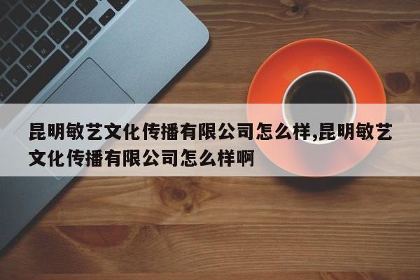 昆明敏艺文化传播有限公司怎么样,昆明敏艺文化传播有限公司怎么样啊