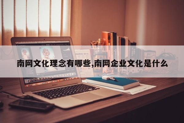 南网文化理念有哪些,南网企业文化是什么