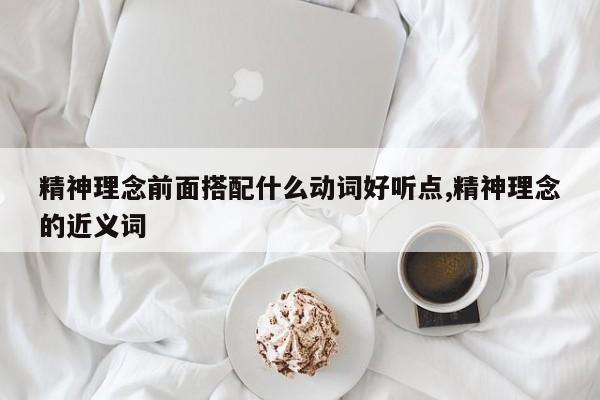 精神理念前面搭配什么动词好听点,精神理念的近义词