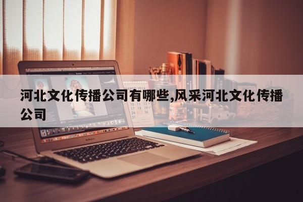 河北文化传播公司有哪些,风采河北文化传播公司